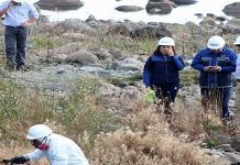 Essal anunció millonarias inversiones para mitigar contaminación en el Lago Llanquihue
