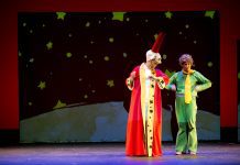 Revisa aquí los panoramas de la región de Los Lagos