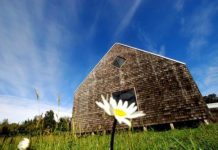 Revisa aquí los panoramas en la región de Los Lagos