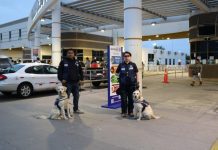 Aduana entrega guía con recomendaciones para viajar este fin de semana largo