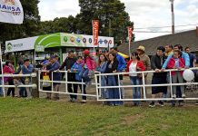 Con muestra de caballares, maquinarias y gastronomìa SAGO FISUR hoy abre sus puertas