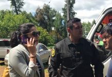 Detienen a dieciséis personas involucradas en peleas clandestinas de animales