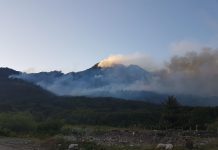 La comuna de Palena fue declarada en Alerta Amarilla por incendios forestales