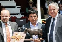 SAGOFISUR premió a los mejores: estudiante, profesional y empresario 2017