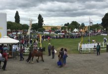 Arntz: “Agradecemos este masivo apoyo a una fiesta que es de los osorninos”