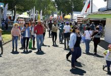 SAGOFISUR 2017: la oferta para la familia se viene contundente