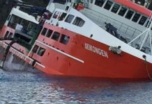 15 días podría demorar retiro de petróleo y mortandad de salmones en Chonchi