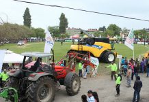 SagoFisur comienza este jueves sin muestras bovinas y ovinas por determinación del MINSAL