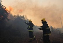 108 Hectáreas de superficie afectadas por 34 focos de incendios forestales en la región