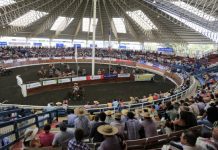 Pese a suspensión de rodeo en SagoFisur la fecha se realizará este fin de semana en Entre Lagos