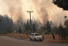 Declaran Alerta Temprana Preventiva por alta probabilidad para la propagación de incendios forestales