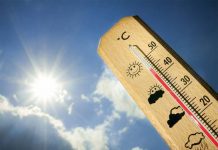 ONEMI llamó a evitar situaciones de riesgo de incendio ante ola de calor en zona sur