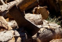 Proveedores de leña, consumidores y autoridades preocupados por escasez del producto