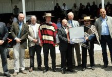 Federación de Criadores de Caballos Pura Raza Chilena reconoce a SAGO A.G