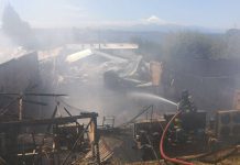 A solicitud de Fiscalía de Río Negro investigan origen de incendio en Lácteos Puerto Octay