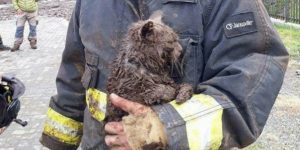 En recinto Sago Osorno se reúnen aportes para Villa Santa Lucía