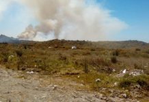 Onemi declaró alerta amarilla para la comuna de Palena por incendio forestal