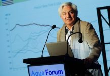 Arturo Clement asumirá como presidente de Salmón Chile