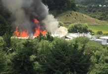 Voraz incendio consumió planta quesera de Lácteos Puerto Octay