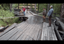 Municipio La Unión estudia querella contra centro turístico Huilo Huilo por desplome de pasarela