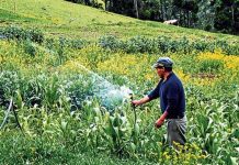 Agricultores y empresas necesitan seguridad jurídica para instalar tecnología de riego