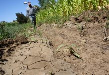 Presidente SAGO confía en modificaciones al Código de Aguas para el 2018