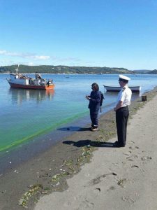 Preocupación por mancha verde en el borde costero de Queilen en Chiloé