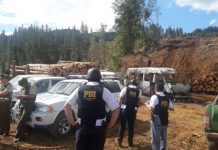 5 serían los encapuchados del atentado incendiario en Lanco