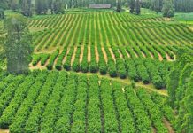 Consejero de la SNA cuestiona recursos utilizados por el Senado en libro sobre Reforma Agraria