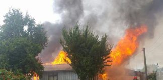 Tragedia en Fresia: adulto mayor muere en incendio