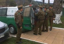 Dos personas fueron condenadas por abigeato en Fresia