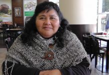 Diputada electa Emilia Nuyado cree que Linconao debe volver a enfrentar juicio por caso Luchsinger