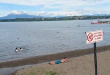 Mientras personas se siguen bañando en Puerto Chico, reacciones genera no habilitación de playa en Puerto Varas Imagen: gentileza Fredy Vargas en Twitter