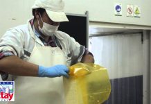 Productores lecheros confían que lacteos Puerto Octay recupere la industria en la comuna