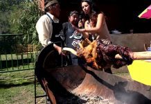 Revisa aquí los panoramas de la región de Los Lagos: