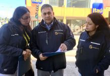 Denuncian matanza de lobos marinos en Quillaipe