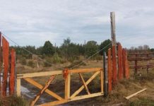 Toman predio en Quellón. Personas exigen agilizar entrega de terrenos que fueron comprometidos