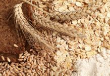 Un notable aumento del precio del quintal de trigo se registrará este año ante fuerte stock de grano