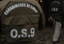 Investigan altercado que dejó dos heridos a bala en Fresia