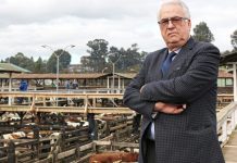 Políticos reaccionan positivamente ante nombramiento de Jürgensen como Intendente de la región