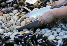 Prohiben extracción de mariscos desde Estero Rulo en Calbuco por presencia de marea roja