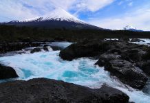 CONAF celebra el Día Nacional del Medio Ambiente con gratuidad para la entrada a los parques nacionales