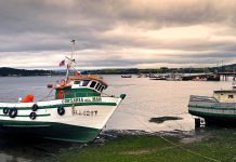 Gobierno Regional de Los Lagos pagará bonos a afectados por marea roja, los cuales fueron ofrecidos pero no ejecutados por el gobierno anterior