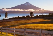 Osorninos divididos ante proposición de que distrito 25 se convierta en región