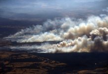 Incendio consumió mil 700 hectáreas y dejó un bombero con riesgo vital en Ercilla