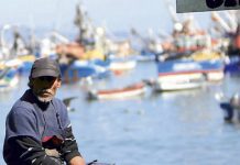Pescadores de Quellón preocupados por prohibición de extraer mariscos tras brote de marea roja en la zona
