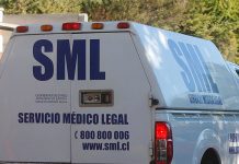 Fiscalía investiga atropello que causó la muerte de un hombre y un caballo en Río Bueno