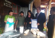 Ministerio de Salud confirmó que la comuna de Calbuco está libre se marea roja
