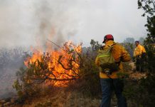 Conaf levanta prohibición del uso del fuego para quemas agrícolas en la Provincia de Osorno