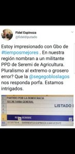 Gore vive primera polémica por pasado PPD de seremi de Agricultura